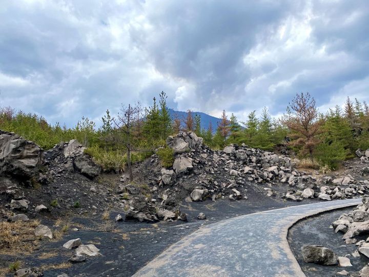 多くの人々に愛される桜島からうまれたユニークなお土産！「お石い桜島」【旅するデザイナーがおすすめするお土産たち！】