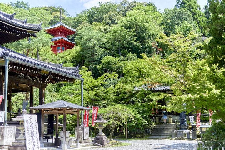 「今熊野観音寺」境内