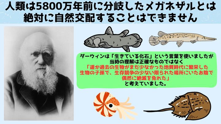 「生きている化石」たちのDNA変異速度を調べる