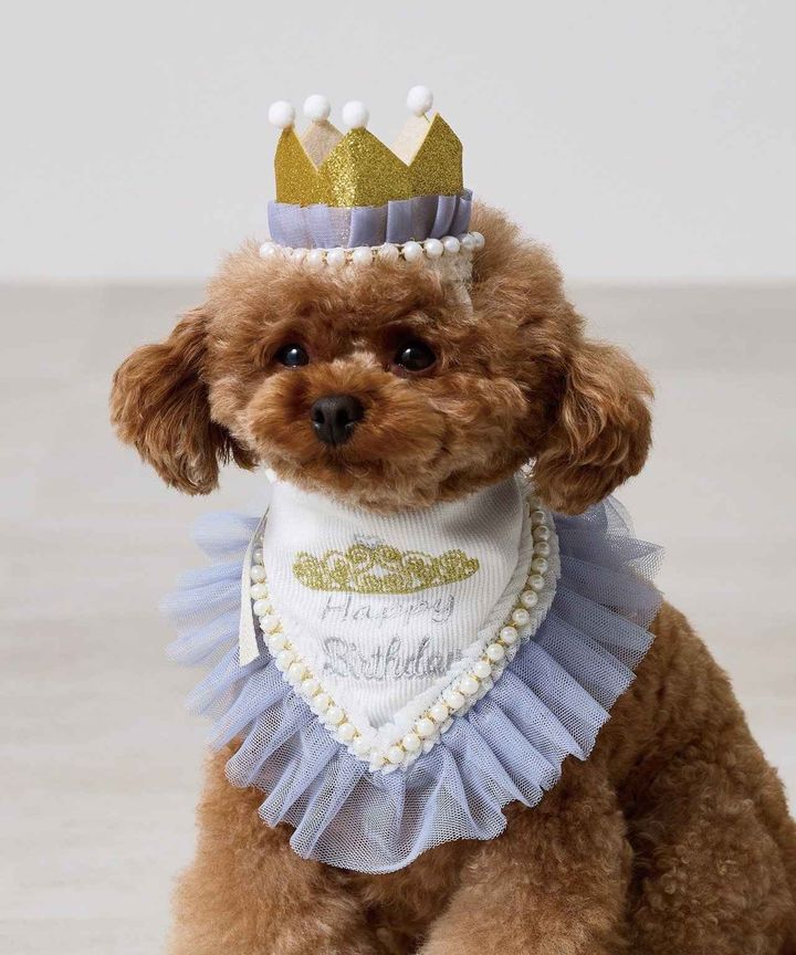 画像2: 出典：3COINS