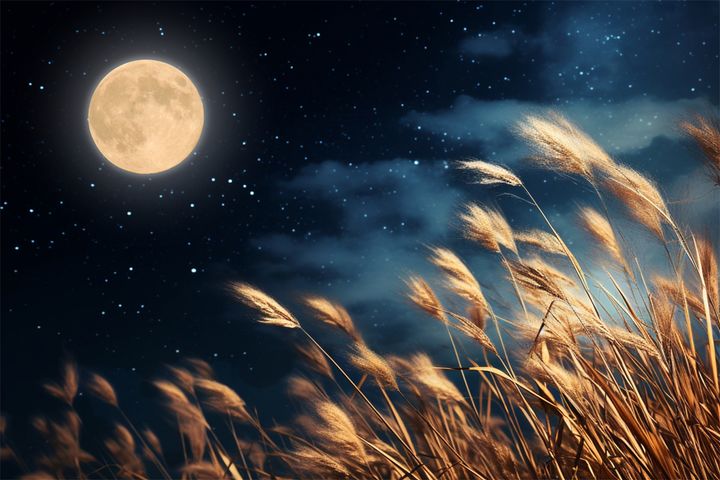 2025年9月の運勢（12星座別）