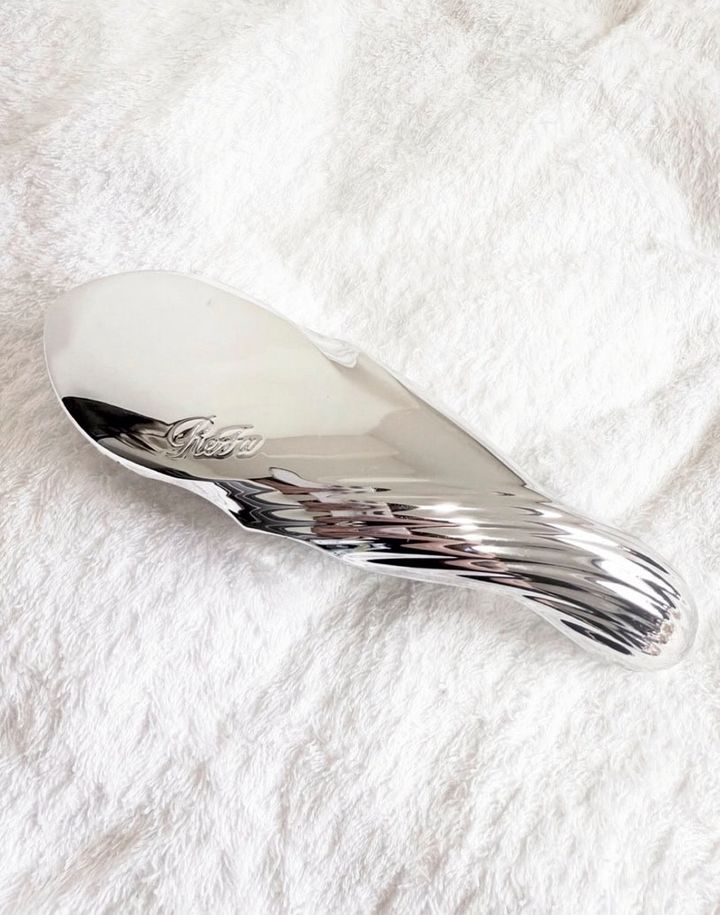 リファのブラシ