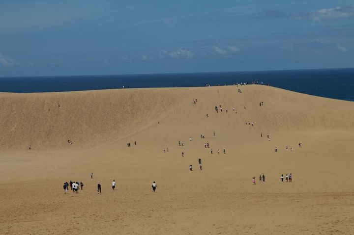 鳥取砂丘の風景