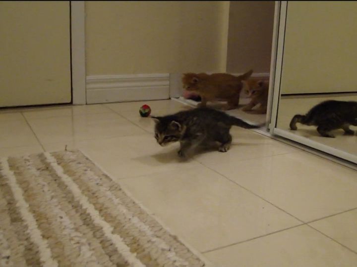 奥から続々と…！