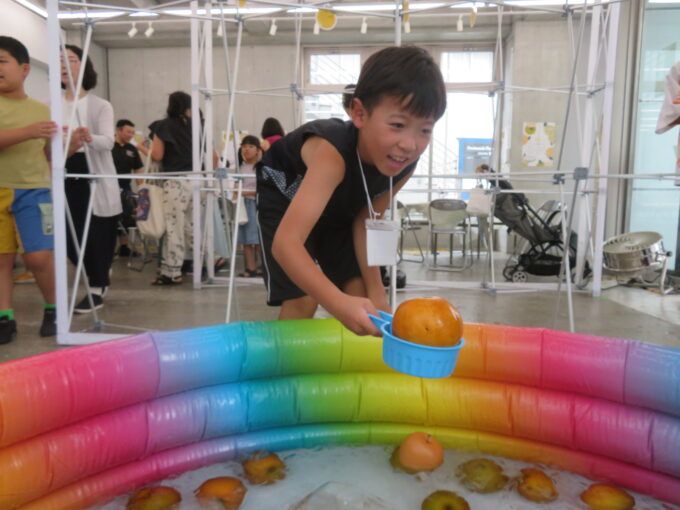 冷やし恵水すくいを体験 