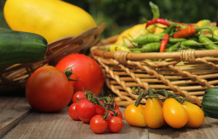 夏を戦い抜いたお疲れ肌に！ 肌が美しく＆元気になる旬の食材と食べ方