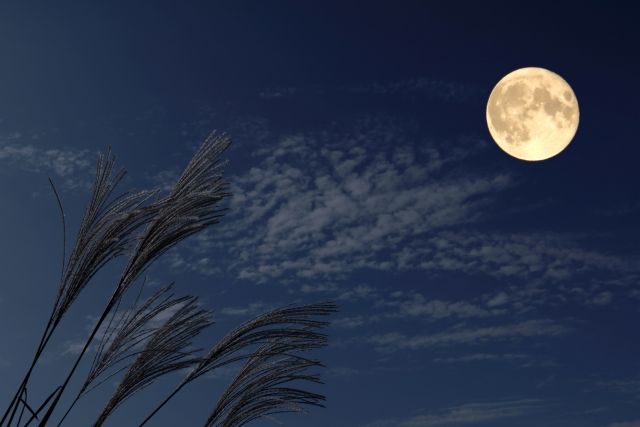 お月見 十五夜イメージ 満月とススキ