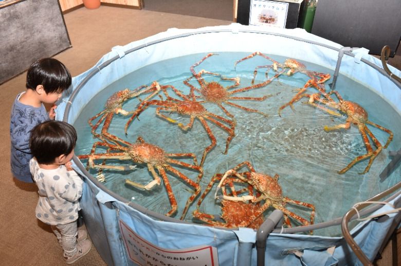 えびとカニ すさみ町立エビとカニの水族館 | 和歌山県すさみ町にあるエビと
