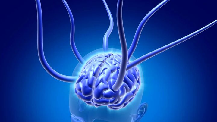 治らない痛みは「脳の誤作動」だった