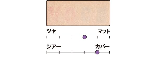 カバー力は？／シームレスウェアクッション