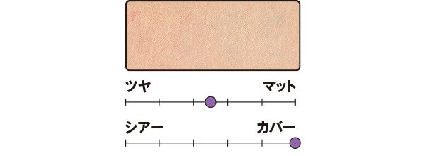 カバー力は？／ぺブルブラークッション