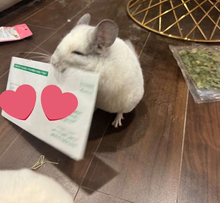 画像提供：＠ebi1Oroさん。再掲