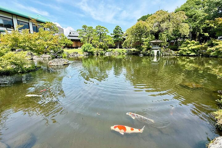三嶋大社すぐ。無料開放の日本庭園や三島梅花藻も楽しめる「佐野美術館」で水辺の癒やしさんぽ