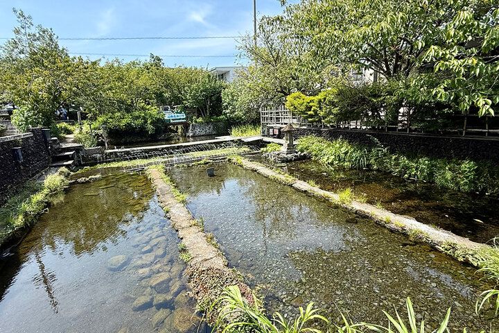 三嶋大社すぐ。無料開放の日本庭園や三島梅花藻も楽しめる「佐野美術館」で水辺の癒やしさんぽ