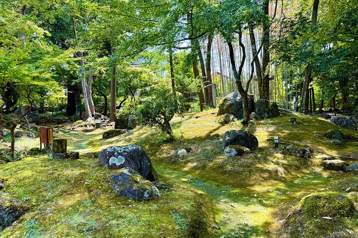 三嶋大社すぐ。無料開放の日本庭園や三島梅花藻も楽しめる「佐野美術館」で水辺の癒やしさんぽ