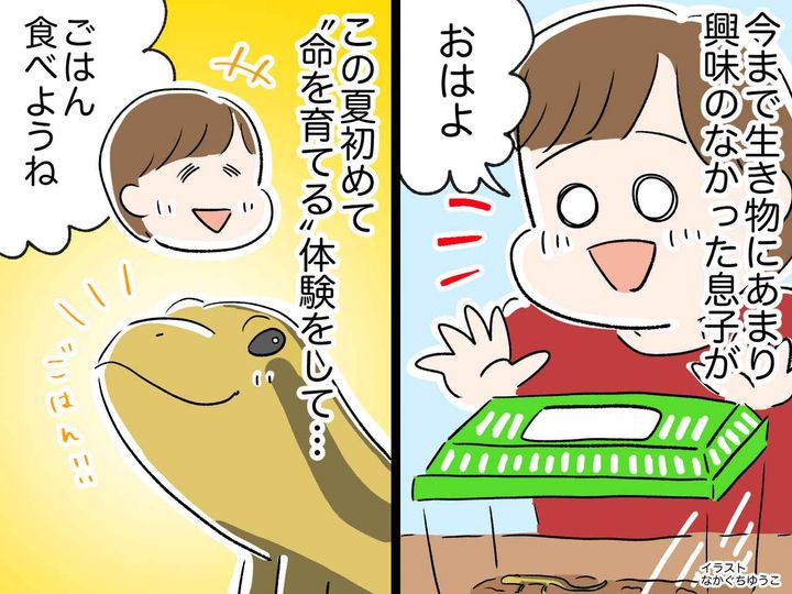 画像: ゲームばかりだった息子が、トカゲを飼い始めて激変！ → 親が知らない間に育っていた「責任感」に感動！