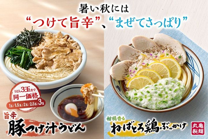 「旨辛 豚つけ汁うどん」と「柑橘香る ねばとろ鶏ぶっかけうどん」