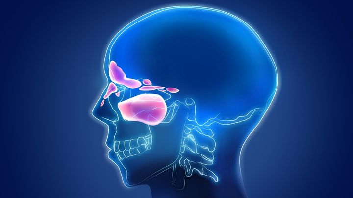 蓄膿症に使われている一般的な抗生物質はプラセボと差がなかった
