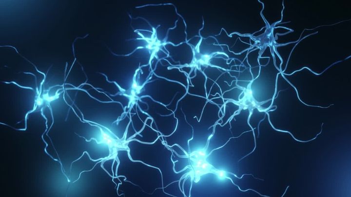 “寝て覚える”の中身は何か