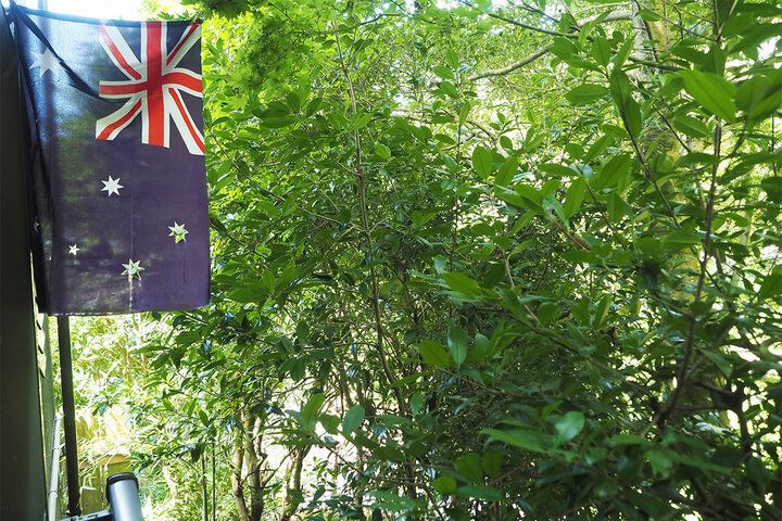 静岡・三島の森で見つけた♪ 鳥のさえずり響く隠れ家でオーストラリア料理ランチを「MOMIJI CAFE」