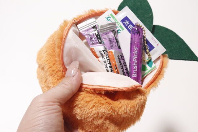 ダイソーのフルーツシェル型ポーチは持ち物整理におすすめ