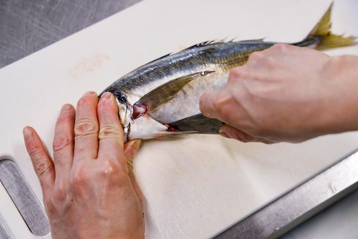 胸ビレに切り込みを入れる