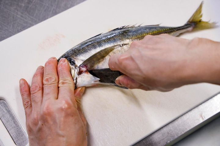 胸ビレに切り込みを入れる