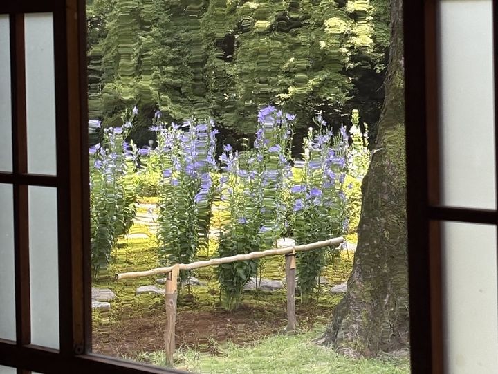 「旧三井家下鴨別邸」庭に面した窓2