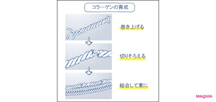 美容 成分 コラジェネシス エリクシール リフトモイスト エマルジョン ba エリクシール リフトモイスト ローション ba 2