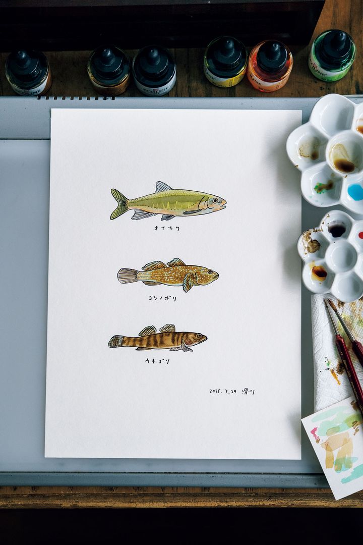 この日釣った魚のイラスト