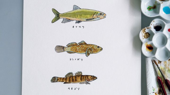 水辺をつぶさに観察する。イラストレーター・横山寛多の、終わらない夏休み