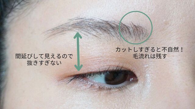 若見えする眉毛のお手入れのコツ 解説