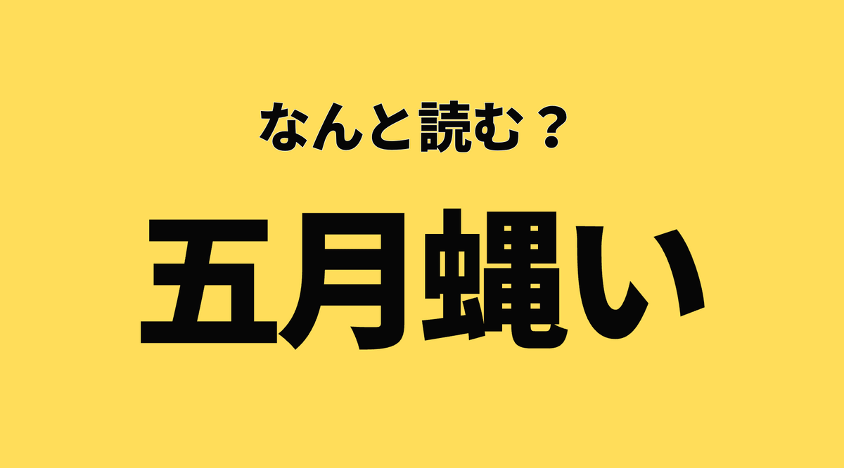 五 月 の 蝿 読み方