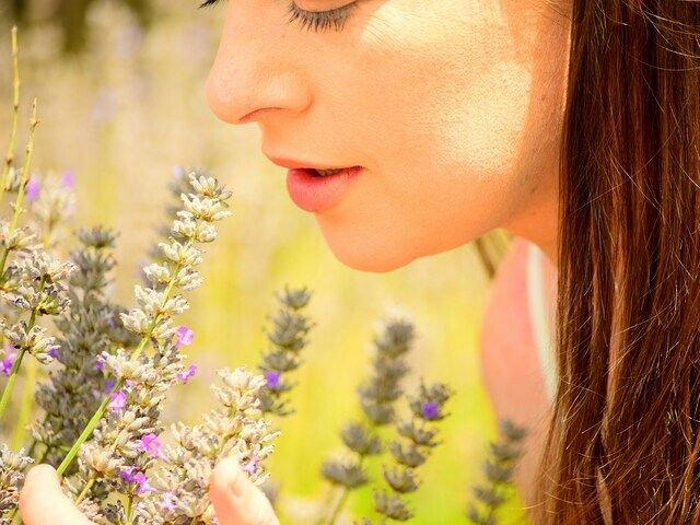 花を愛でる女性