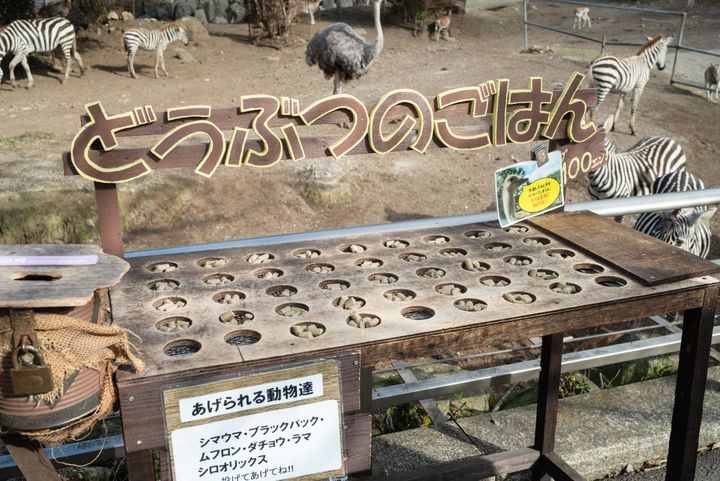 「エサやり体験」1カップ100円