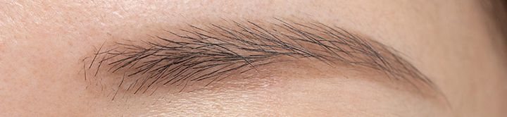 シール ブラウン 使用