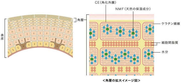ブロック＆モルタル構造が整っていることがバリア機能の要