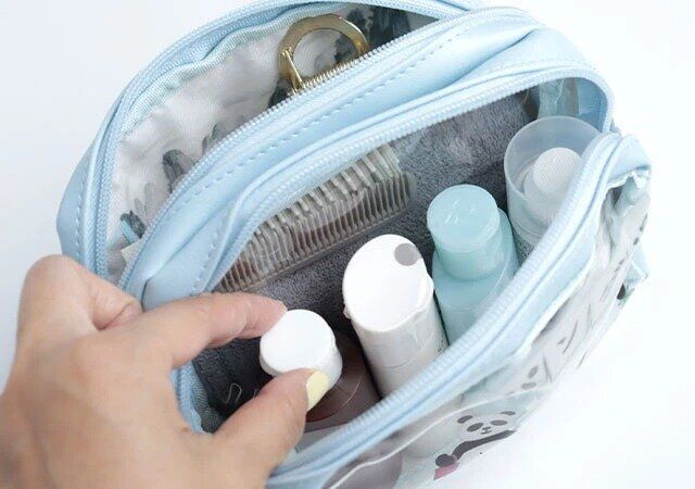 パンダ銭湯 クリアポーチ