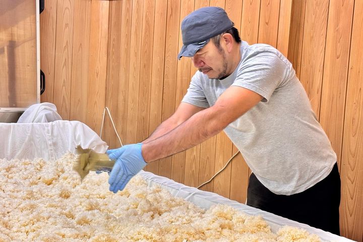 麹室で種麹をふる永山さん