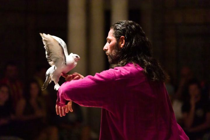 セルマ& ソフィアン・ウィスィ『Bird』 ©Pol Guillard ／国際芸術祭『あいち2025』