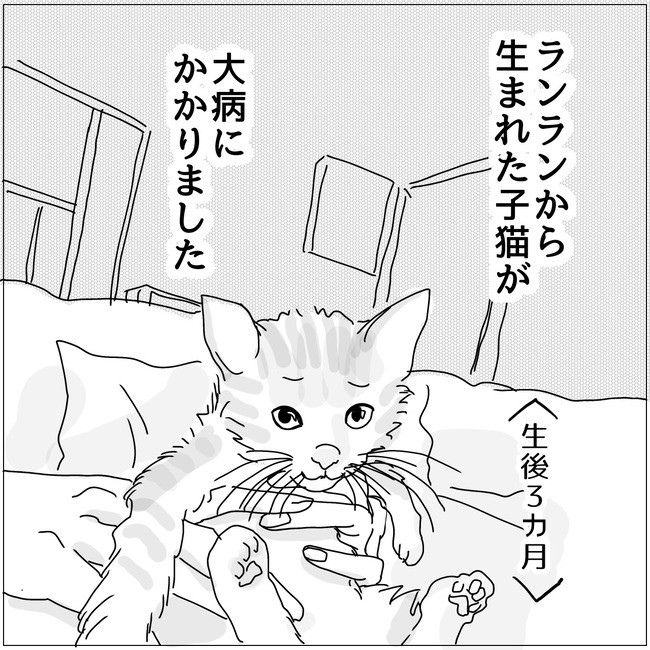 五十路日和／おーちゃん