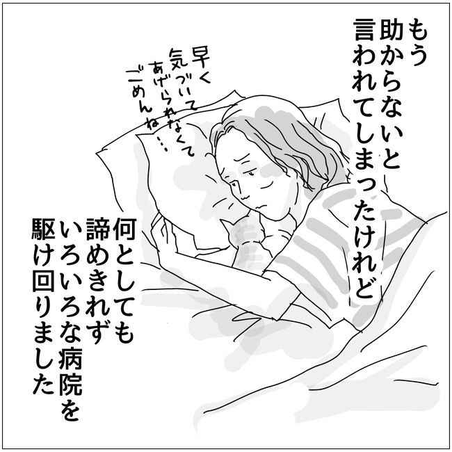 五十路日和／おーちゃん