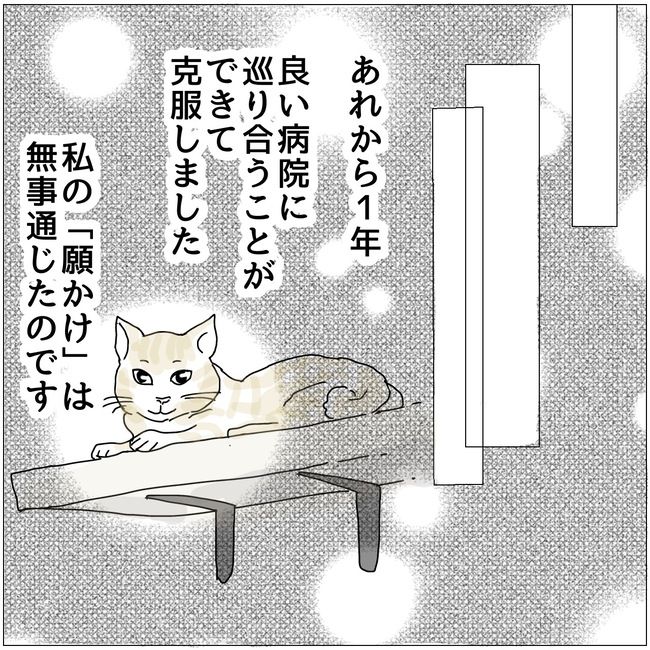 五十路日和／おーちゃん