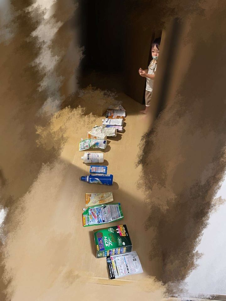 むしろ整理整頓？（画像はかめ＠ktan0v0さんの投稿より、再掲）