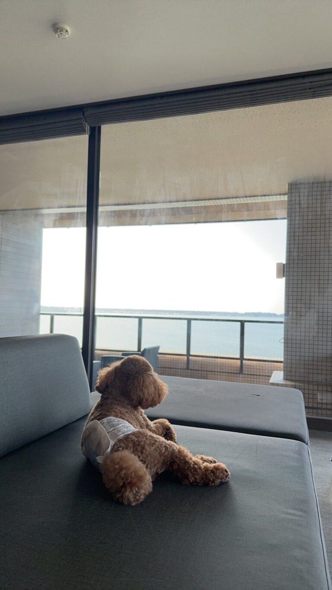 MOTOMIさん画像11