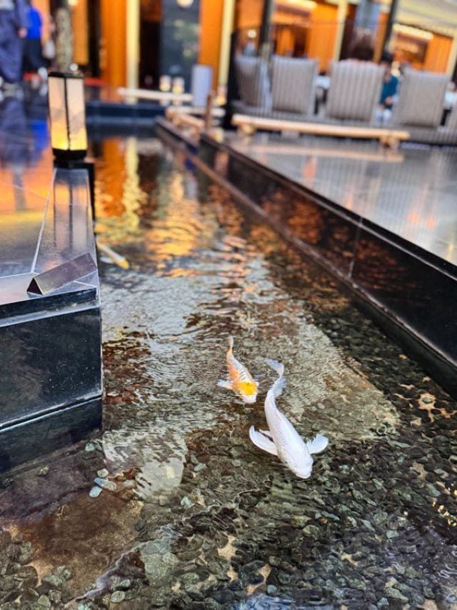 「目黒雅叙園 『PANDRA』」