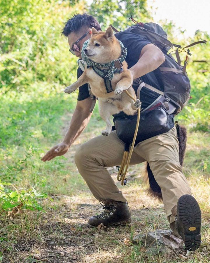 画像は＠takechiyo_shibaさん提供、再掲