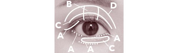 セルヴォーク ヴァティック アイパレット how to