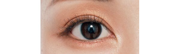 色が溶け込む光で華やかさもプラス 下まぶた