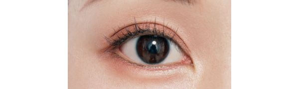 チラチラ主張しない上品なパール感 下まぶた